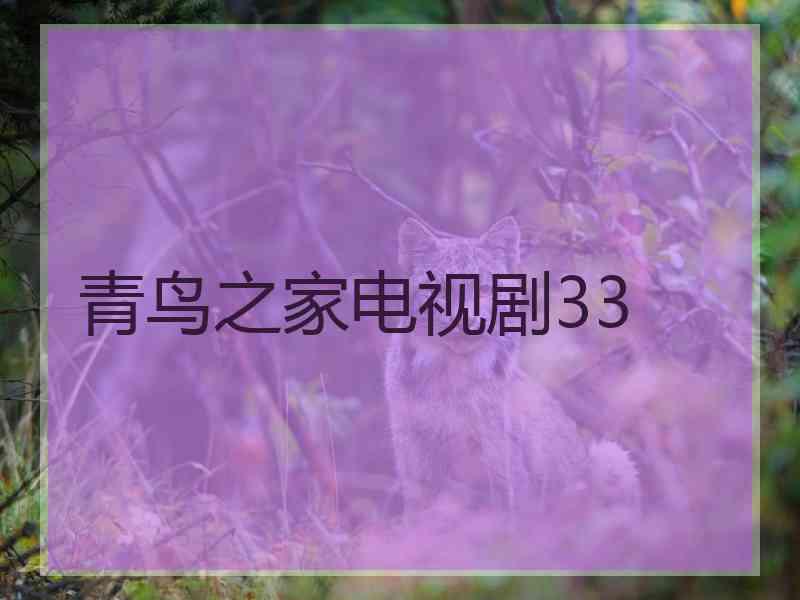 青鸟之家电视剧33