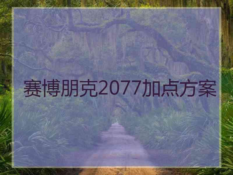 赛博朋克2077加点方案