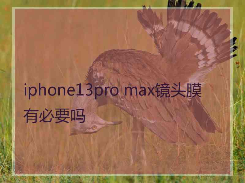 iphone13pro max镜头膜有必要吗