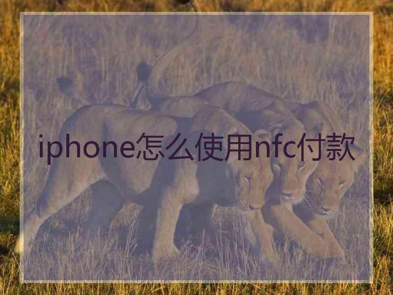 iphone怎么使用nfc付款