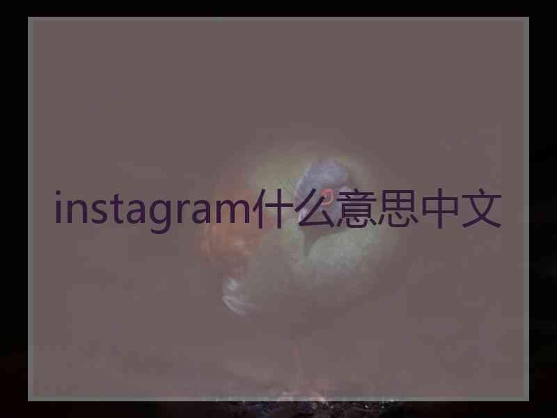 instagram什么意思中文