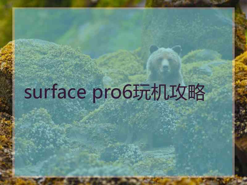 surface pro6玩机攻略