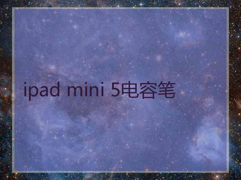 ipad mini 5电容笔