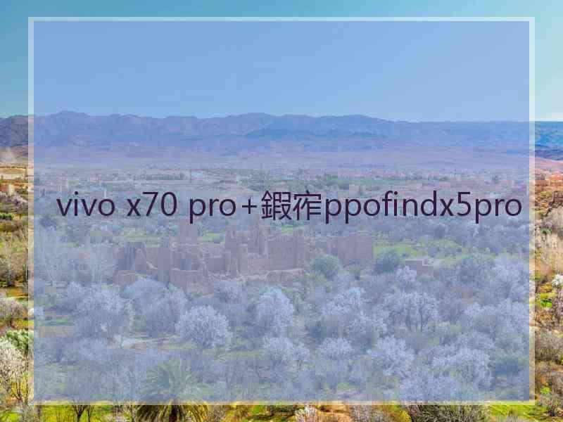 vivo x70 pro+鍜宱ppofindx5pro