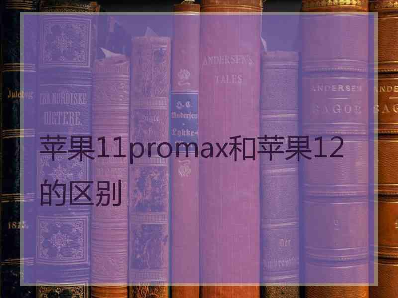 苹果11promax和苹果12的区别