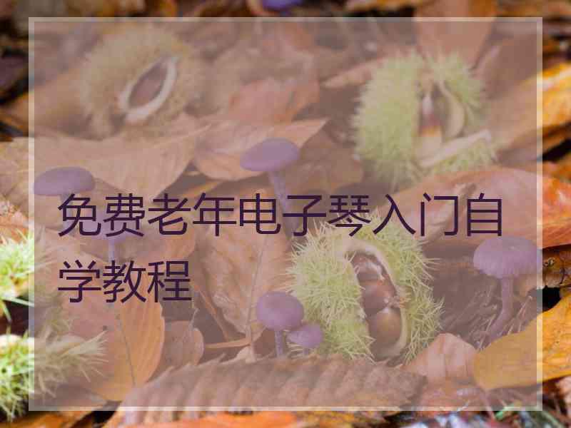 免费老年电子琴入门自学教程