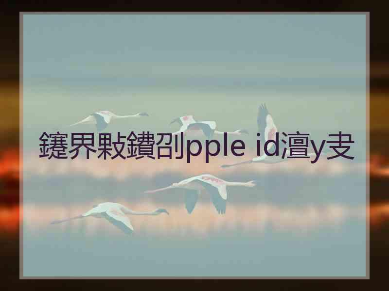 鑳界敤鐨刟pple id澶у叏