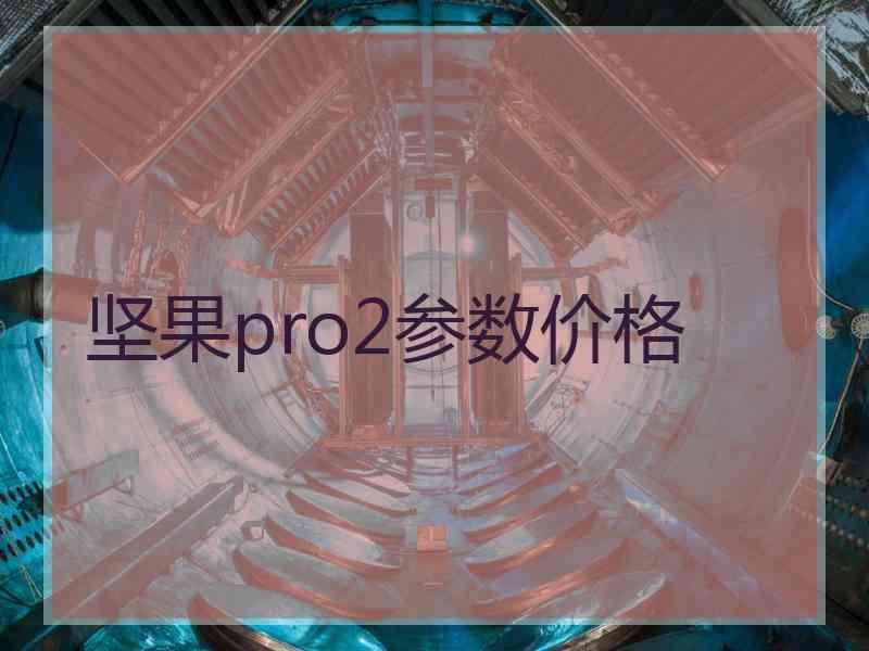 坚果pro2参数价格