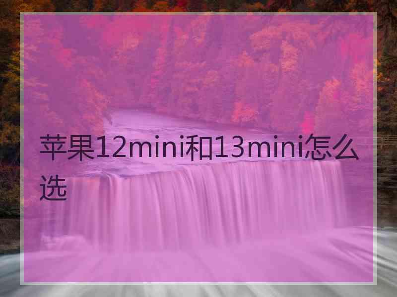 苹果12mini和13mini怎么选