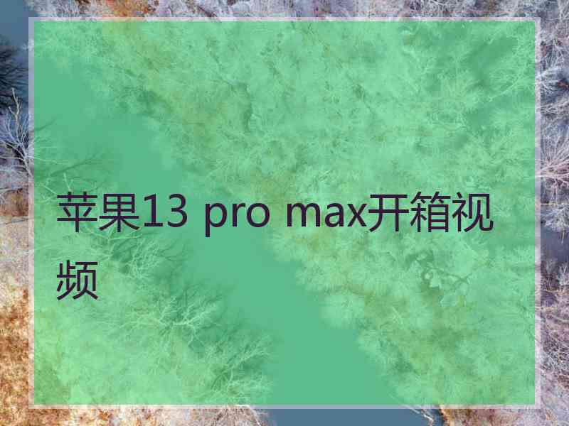 苹果13 pro max开箱视频