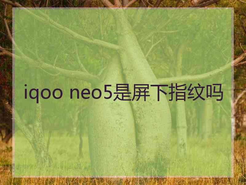 iqoo neo5是屏下指纹吗