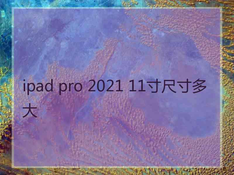 ipad pro 2021 11寸尺寸多大