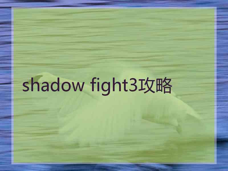 shadow fight3攻略