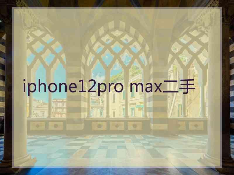 iphone12pro max二手