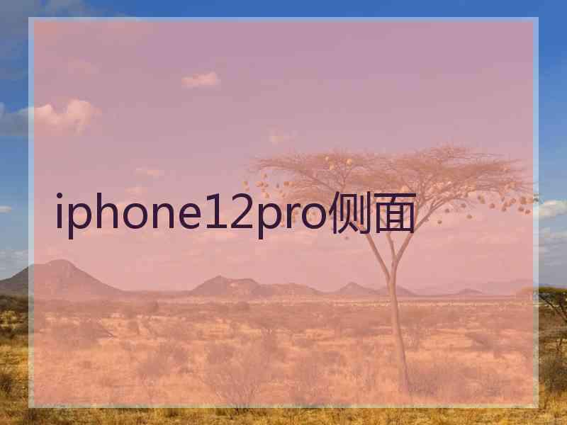 iphone12pro侧面