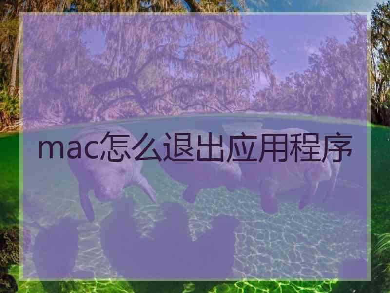 mac怎么退出应用程序