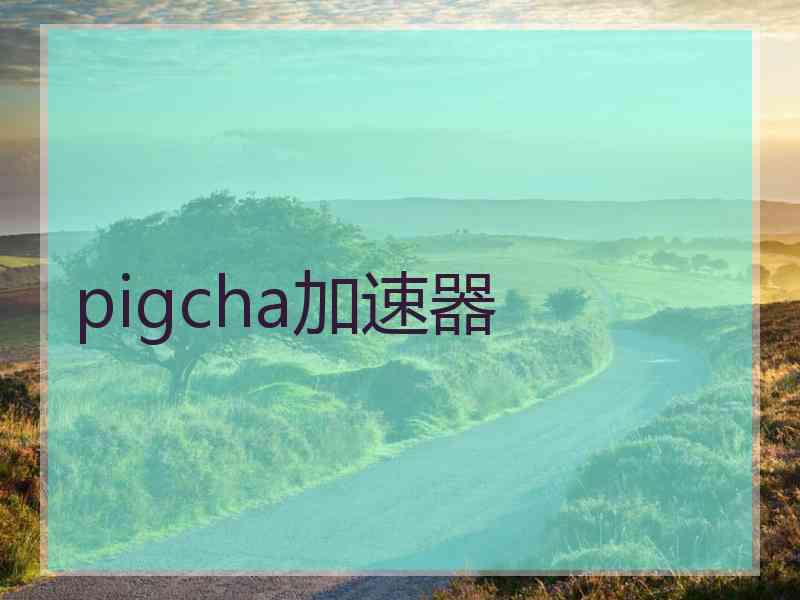 pigcha加速器