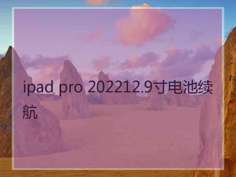 ipad pro 202212.9寸电池续航